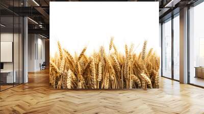 wheat field isolated on transparent background ,wheat field png clip art  Wall mural